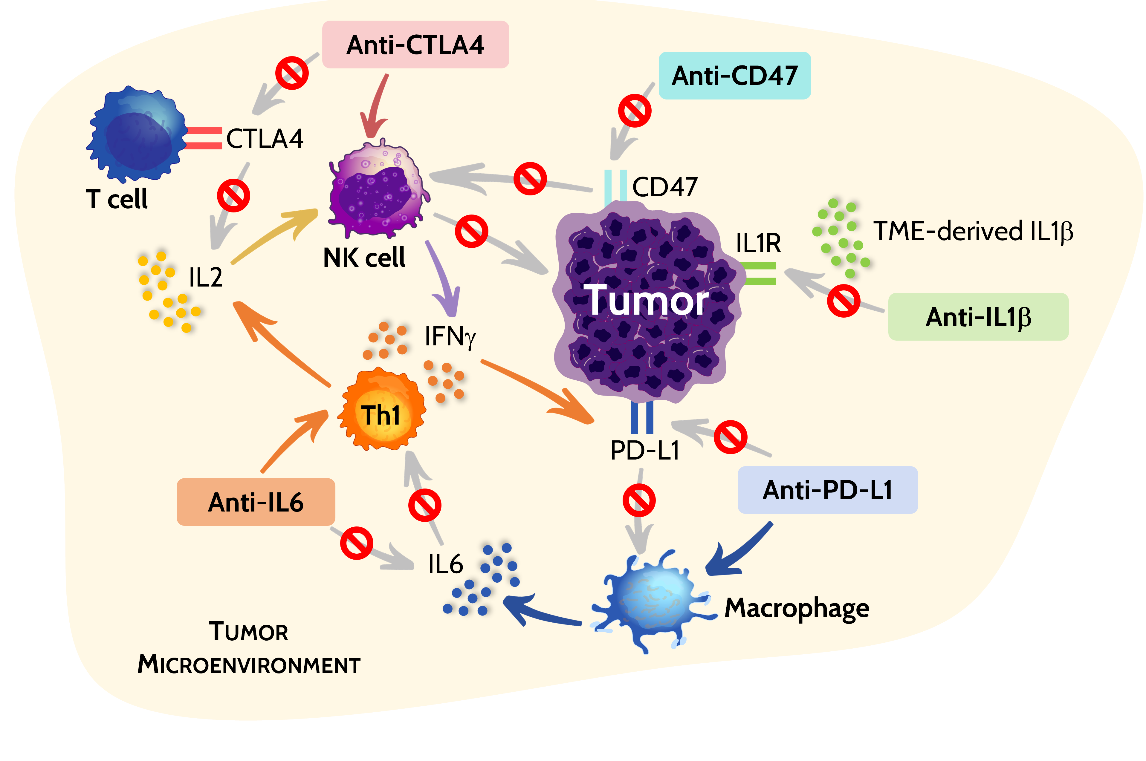 Tumor Microenvironment